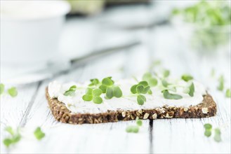 Cream Cheese on a slice of bread topped with fresh Cress (selective focus, close-up shot)