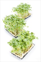 Portion of Cress (as close-up shot) isolated on white background