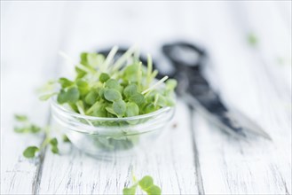 Cutted Cress on a vintage background as detailed close-up shot (selective focus)