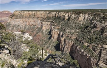 Famous Grand Canyon in Arizona, USA, North America