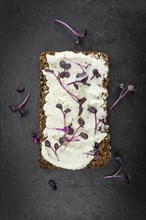 Slate slab with cream cheese and fresh cress on a slice of wholemeal bread (close-up shot,