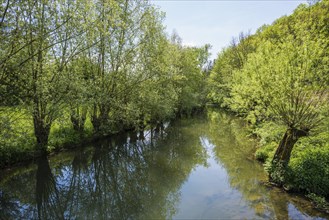 Picturesque river, near Rothenburg ob der Tauber, Romantic Road, Franconia, Bavaria, Germany,