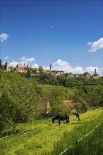 Medieval town, Rothenburg ob der Tauber, Romantic Road, Franconia, Bavaria, Germany, Europe