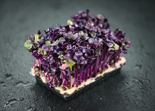 Some fresh Cress on a vintage slate slab (selective focus, close-up shot)