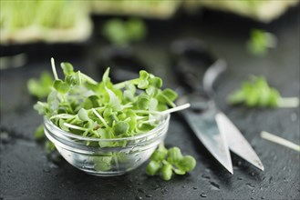 Portion of Cress as detailed close up shot on a slate slab (selective focus)