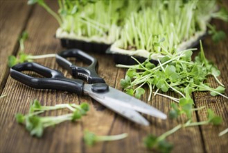 Fresh cutted Cress as high detailed close-up shot on a vintage wooden table (selective focus)