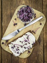 Cream Cheese on a slice of bread topped with fresh Cress (selective focus, close-up shot)