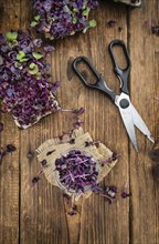 Cutted Cress on a vintage background as detailed close-up shot (selective focus)