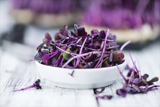 Portion of fresh Cutted Cress (close-up shot, selective focus)