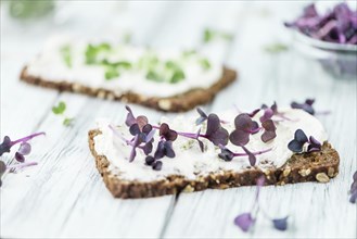 Cream Cheese on a slice of bread topped with fresh Cress (selective focus, close-up shot)