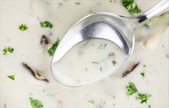 Homemade Porcini Soup on vintage background selective focus, close-up shot