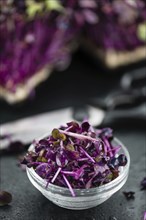 Portion of Fresh cutted Cress on a rustic slate slab (selective focus, close-up shot)