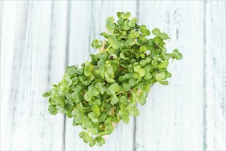 Cress on a vintage background as detailed close-up shot (selective focus)