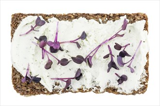 Cress with Cheese on a slice of bread (selective focus, close-up shot) isolated on white background