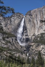 Upper Yosemite Falls at a sunny day, California, USA, North America