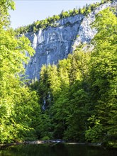 Morning atmosphere, Gössler Wand in the morning light, near Gössl, Salzkammergut, Styria, Austria,