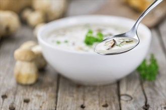 Homemade Porcini Soup on vintage background selective focus, close-up shot