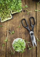 Fresh cutted Cress as high detailed close-up shot on a vintage wooden table (selective focus)