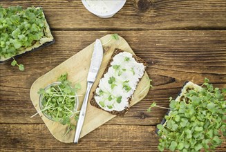 Fresh cutted Cress with creamy Cheese on a slice of bread (selective focus, close-up shot)