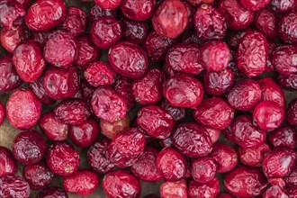 Dried Cranberries (selective focus, detailed close-up shot)