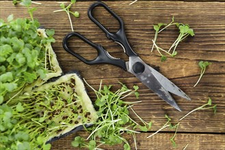 Cutted Cress on a vintage background as detailed close-up shot (selective focus)