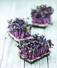 Cress on a vintage background as detailed close-up shot (selective focus)