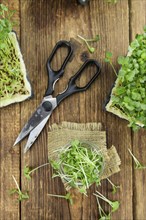 Fresh cutted Cress as high detailed close-up shot on a vintage wooden table (selective focus)