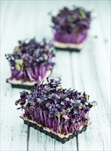 Portion of homemade Cress on wooden background (selective focus, close-up shot)