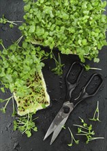 Cutted Cress on a vintage background as detailed close-up shot (selective focus)