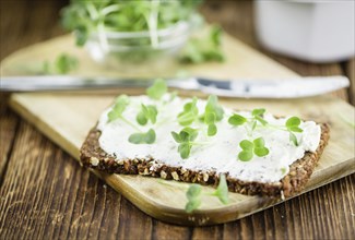 Fresh cutted Cress with creamy Cheese on a slice of bread (selective focus, close-up shot)