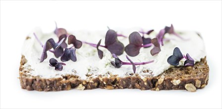 Cream Cheese with fresh Cress on a slice of bread isolated on white background (close-up shot)