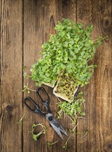 Portion of fresh Cutted Cress (close-up shot, selective focus)