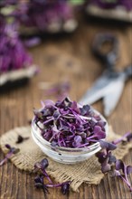 Fresh cutted Cress as high detailed close-up shot on a vintage wooden table (selective focus)