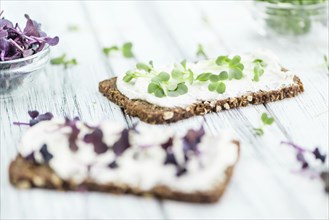 Fresh cutted Cress with creamy Cheese on a slice of bread (selective focus, close-up shot)