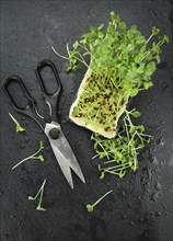 Portion of Fresh cutted Cress on a rustic slate slab (selective focus, close-up shot)