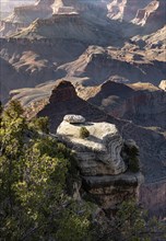 Grand Canyon in Arizona, USA, North America