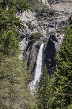 Lower Yosemite Falls at a sunny day