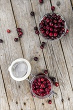 Portion of Preserved Cranberries as detailed close-up shot, selective focus