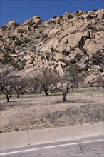 Rocky hills at the Texas Canyon Rest Area on i-10 West near Dragoon, Arizona