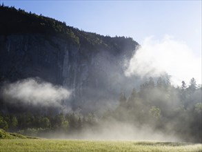 Morning atmosphere at sunrise, early morning fog over a meadow, behind the Gössler Wand, panoramic