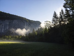 Morning atmosphere at sunrise, early morning fog over a meadow, behind the Gössler Wand, panoramic