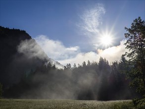 Morning atmosphere at sunrise, early morning fog over a meadow, Gössl, Salzkammergut, Styria,