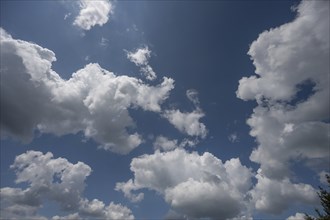 Fair weather clouds (Gumulus), Bavaria, Germany, Europe