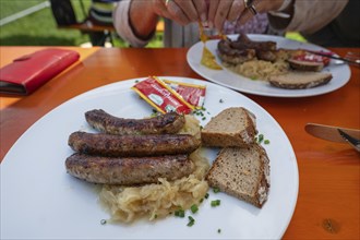 Three Franconian bratwursts with mustard and bread served in a garden withe, Bavaria, Germany,