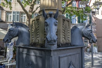 Gaulsbrunnen, erected in 1823 on the Königsplatz, Schwabach, Middle Franconia, Bavaria, Germany,