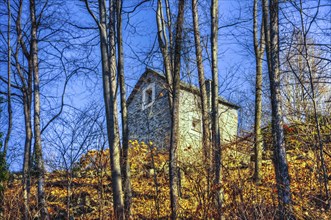 Beautiful Old Rustic House in the Forest with Bare Trees and Blue Clear Sky in a Sunny Day in