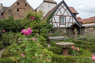 Rose garden at the Alte Kellerei, baroque garden, Sankt Martin, German or Southern Wine Route,