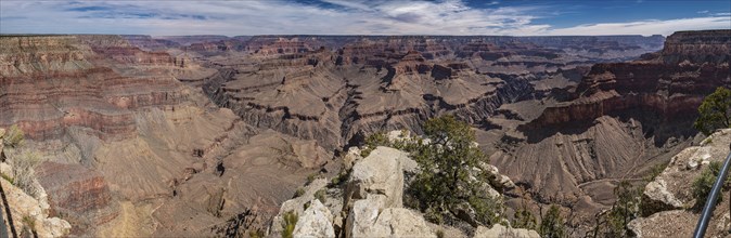 Panorama of Grand Canyon in Aizona, USA, North America