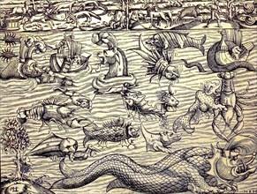 The wonder of the sea and its creatures, facsimile from Sebastian Münster's Cosmography, 1550,