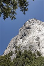 El Capitan in Yosemite National Park, California, USA, North America